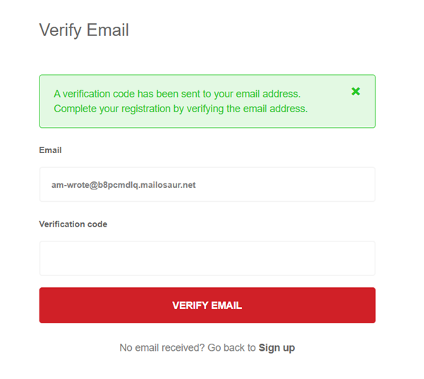 Email verification